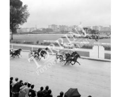 Giornata gentlemen all\'ippodromo delle Mulina