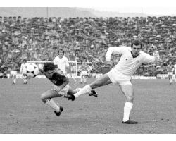 Fiorentina Cagliari 80 81
