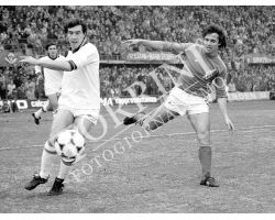 Fiorentina Roma 80 81 Bertoni