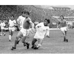 Fiorentina Roma 80 81 Antognoni