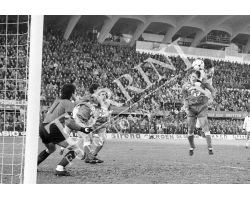Fiorentina Inter 81 82