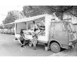 Scandicci mercato pesciaiolo