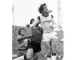Fiorentina Milan 81 82 Vierchowod