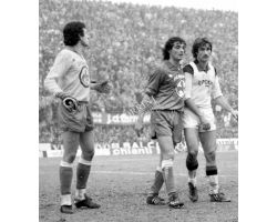 Fiorentina Milan 81 82 Miani