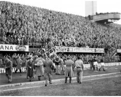 Fiorentina Bologna 54 55 invasione di campo tifosi