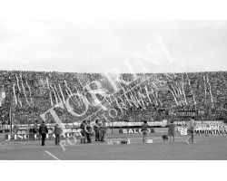 84 85 Fiorentina Milan tifosi