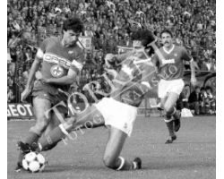 84 85 Fiorentina Avellino