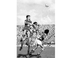 84 85 Fiorentina Avellino