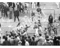 Fiorentina Pisa 85 86 tifosi
