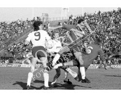 Fiorentina Torino 87 88