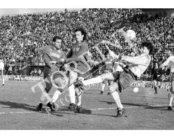 Fiorentina Torino 87 88