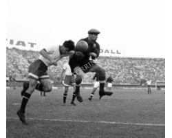 Fiorentina Dinamo di Mosca