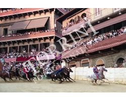 Palio di Siena