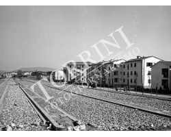 Isolotto