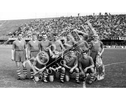 Fiorentina Shalke04 squadra 06