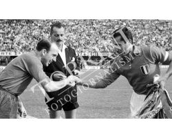 Fiorentina Shalke04 02